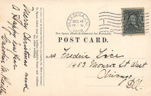 Load image into Gallery viewer, North Los Robles Ave., Pasadena, California, early postcard, used in 1908
