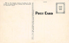 Load image into Gallery viewer, Palms and Oleanders, Highway to Savannah Beach, Georgia, early postcard, unused
