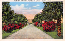Load image into Gallery viewer, Palms and Oleanders, Highway to Savannah Beach, Georgia, early postcard, unused
