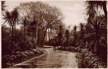 Load image into Gallery viewer, The Morrab Gardens, Penzance, England, Great Britain, Early Real Photo Postcard, Unused
