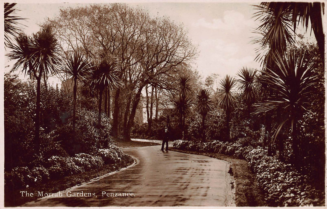 The Morrab Gardens, Penzance, England, Great Britain, Early Real Photo Postcard, Unused