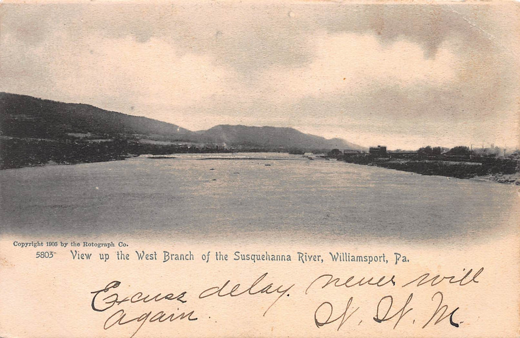 View Up the West Branch of the Susquehanna River, Williamsport, PA., early postcard, used in 1905