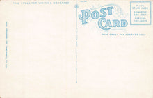 Load image into Gallery viewer, The Floating Bridge, Lynn, Massachusetts, early postcard, unused
