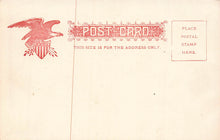 Load image into Gallery viewer, Rustic Bridge, Central Park, Manhattan, New York City, N.Y., early postcard, unused
