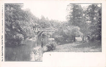 Load image into Gallery viewer, Rustic Bridge, Central Park, Manhattan, New York City, N.Y., early postcard, unused
