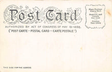 Load image into Gallery viewer, South Street and Shipping, Manhattan, New York City, N.Y., 1898 postcard, unused
