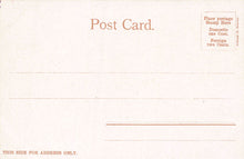 Load image into Gallery viewer, Terraces, Central Park, Manhattan, New York City, N.Y., early postcard, unused
