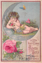 Load image into Gallery viewer, Florida Water, Perfume, Murray &amp; Lanman, 1881 Early Trade Card
