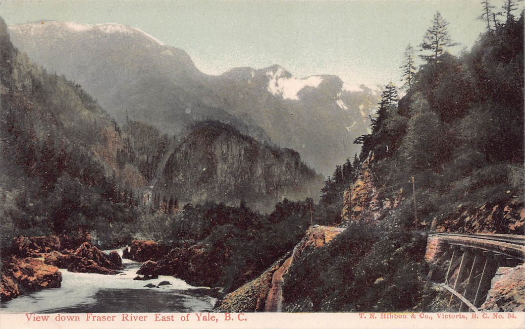 View Down Fraser River, East of Yale, British Columbia, Canada, early postcard, unused