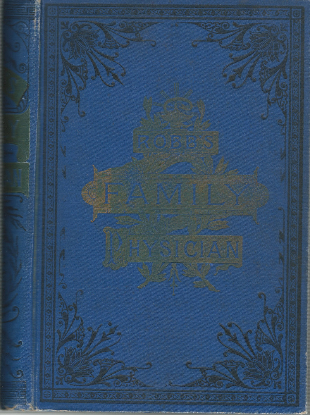 Robb's Family Physician, Being a Concise and Comprehensive Treatise on Diseases, by J.V. Bean, R.L. Robb, & S.L. Robb, 1883