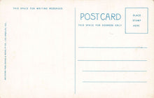 Load image into Gallery viewer, Hotel Virginia, Long Beach, California, early postcard, unused
