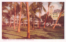 Load image into Gallery viewer, The Hotel Royal Poinciana Colonnade, Palm Beach, Florida, very early postcard, unused
