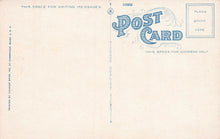 Load image into Gallery viewer, Public Library, Boston, Massachusetts, early postcard, unused
