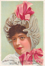 Load image into Gallery viewer, The World Famous Wilcox &amp; White  Organs, 19th Century Trade Card
